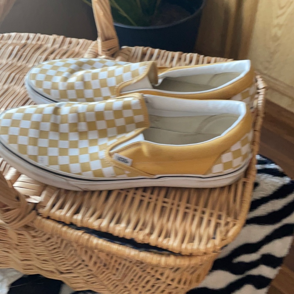 Men’s van shoes